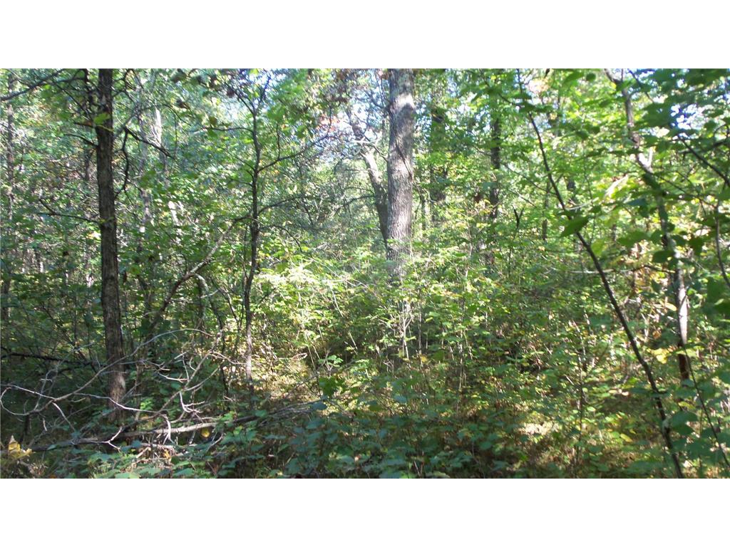 Lot 3 East River Rd Anderson Twp WI 54840 6814566 image14