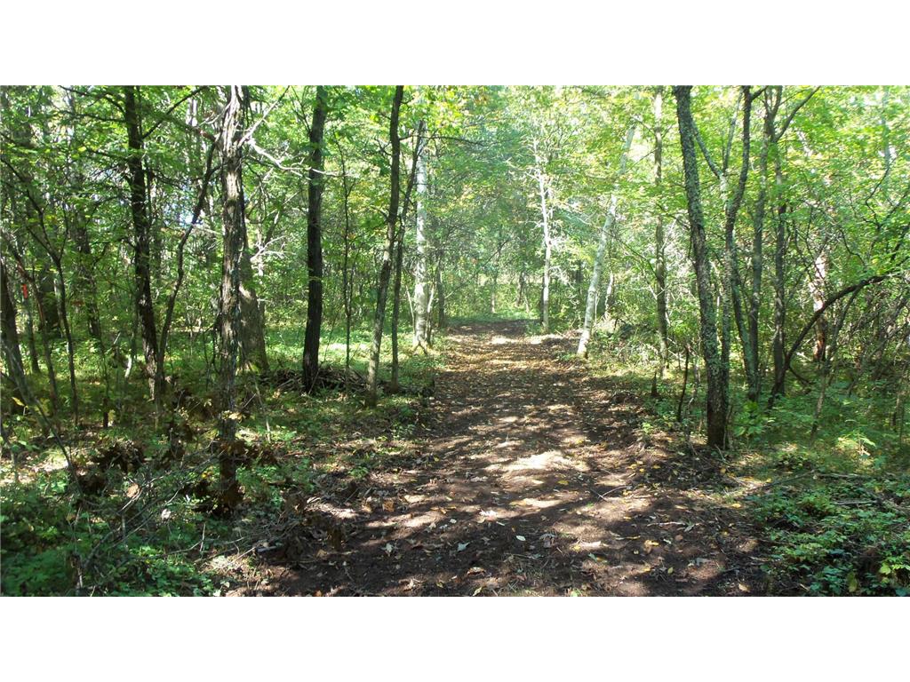 Lot 3 East River Rd Anderson Twp WI 54840 6814566 image15