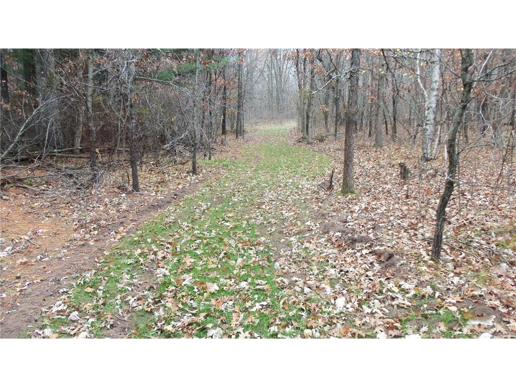 Lot 3 East River Rd Anderson Twp WI 54840 6814566 image3