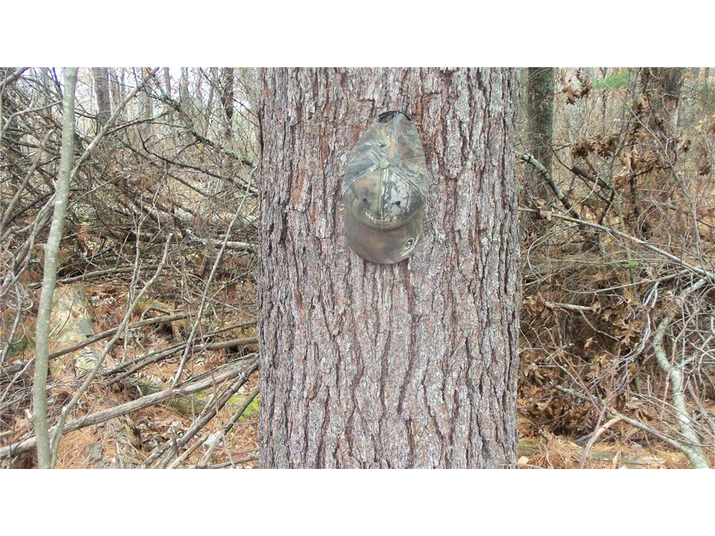 Lot 3 East River Rd Anderson Twp WI 54840 6814566 image4