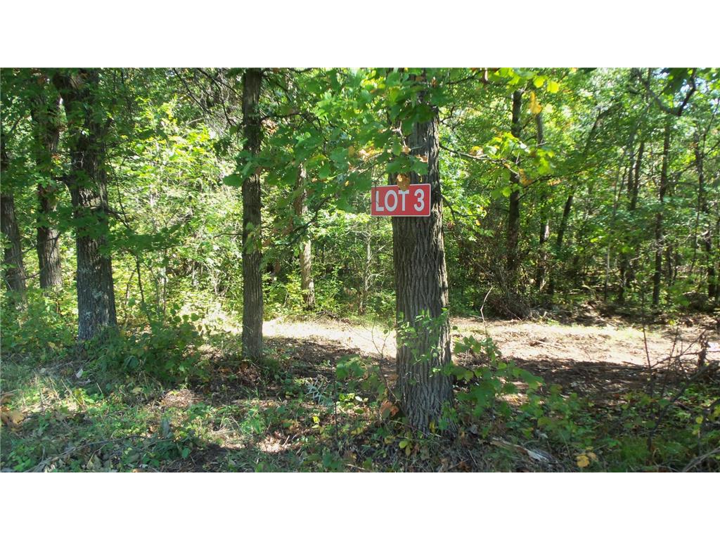 Lot 3 East River Rd Anderson Twp WI 54840 6814566 image7