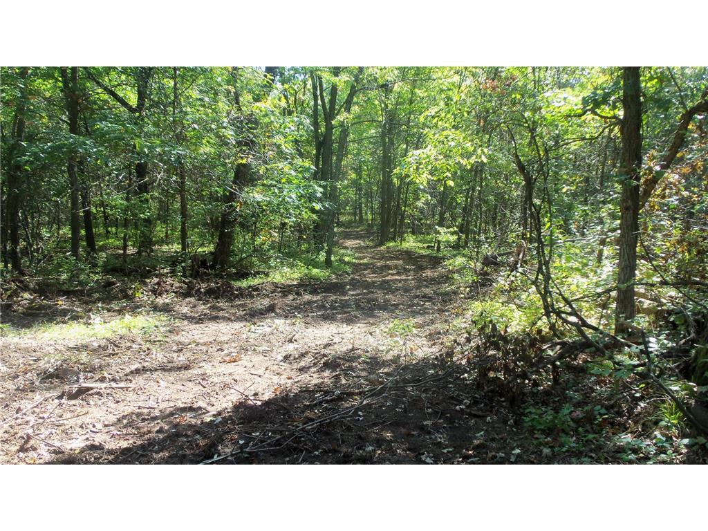 Lot 3 East River Rd Anderson Twp WI 54840 6814566 image8