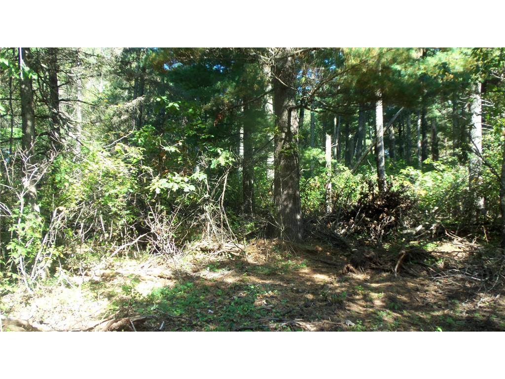 Lot 3 East River Rd Anderson Twp WI 54840 6814566 image9