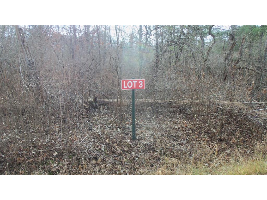 Lot 3 Ferry Rd Grantsburg Twp WI 54840 6821610 image1
