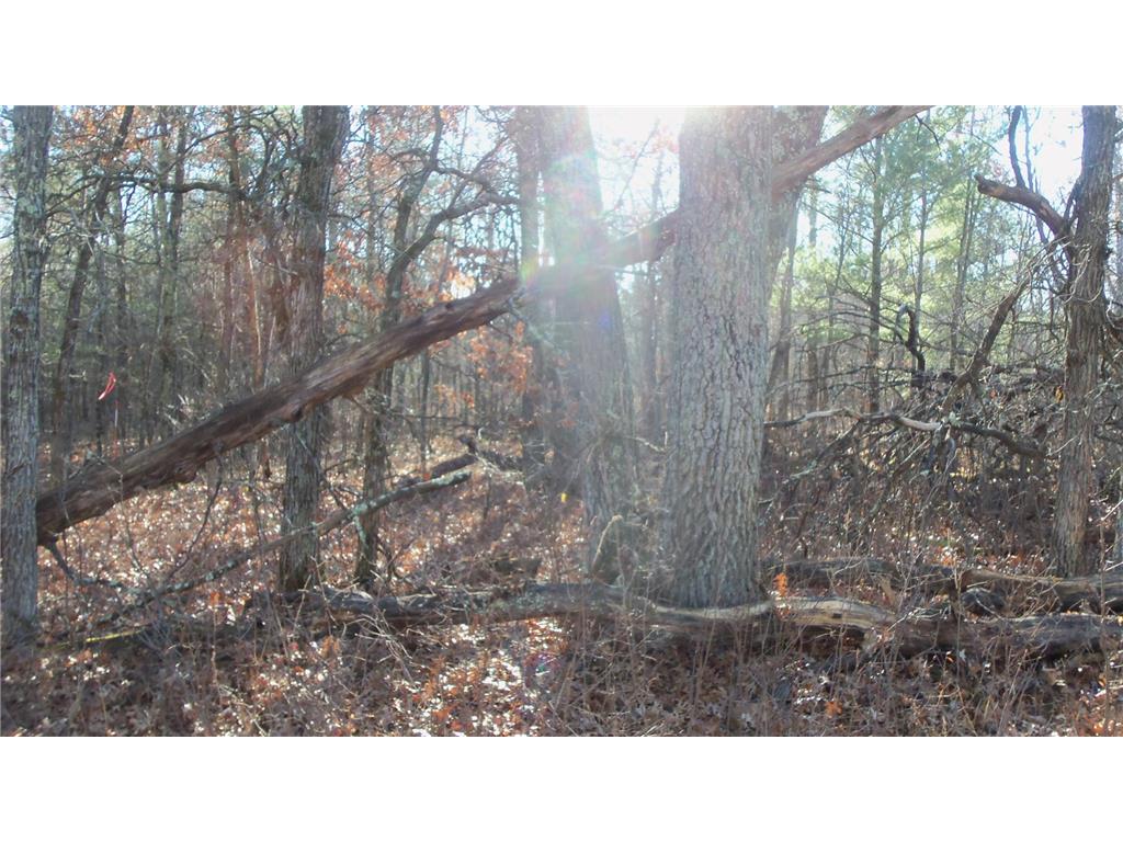 Lot 3 Ferry Rd Grantsburg Twp WI 54840 6821610 image4