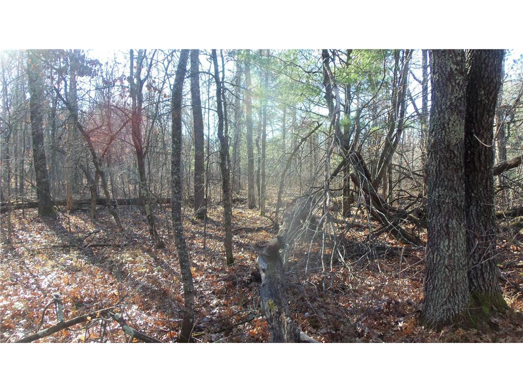 Lot 3 Ferry Rd Grantsburg Twp WI 54840 6821610 image5