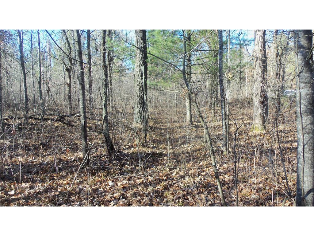 Lot 3 Ferry Rd Grantsburg Twp WI 54840 6821610 image6