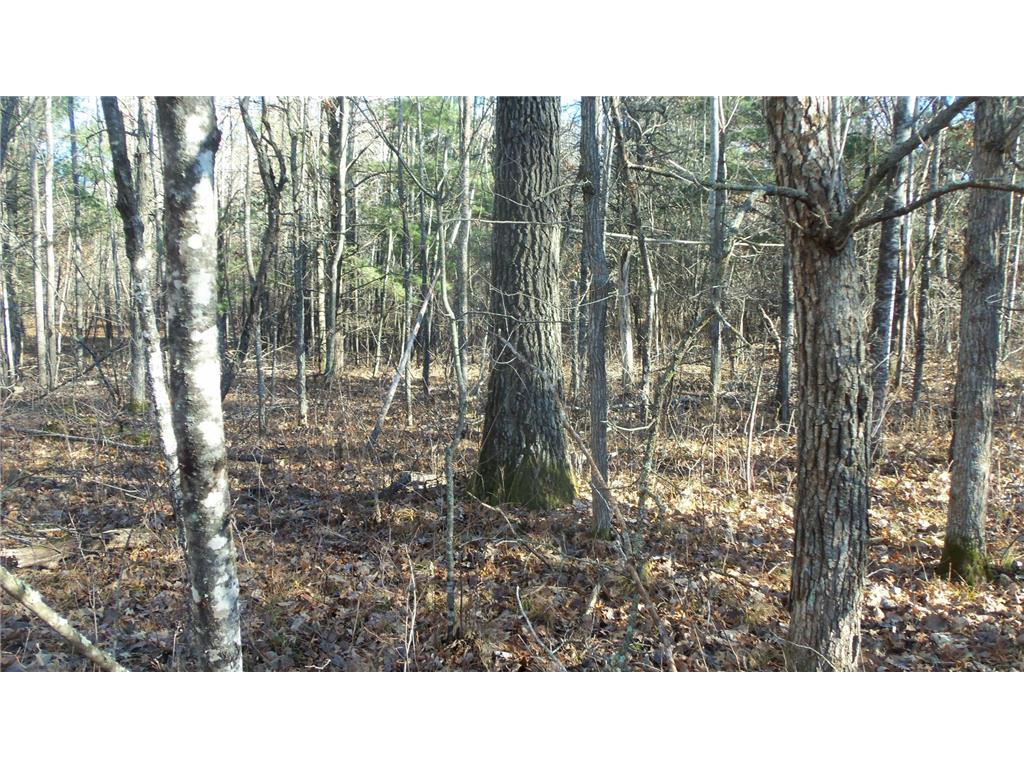 Lot 3 Ferry Rd Grantsburg Twp WI 54840 6821610 image7