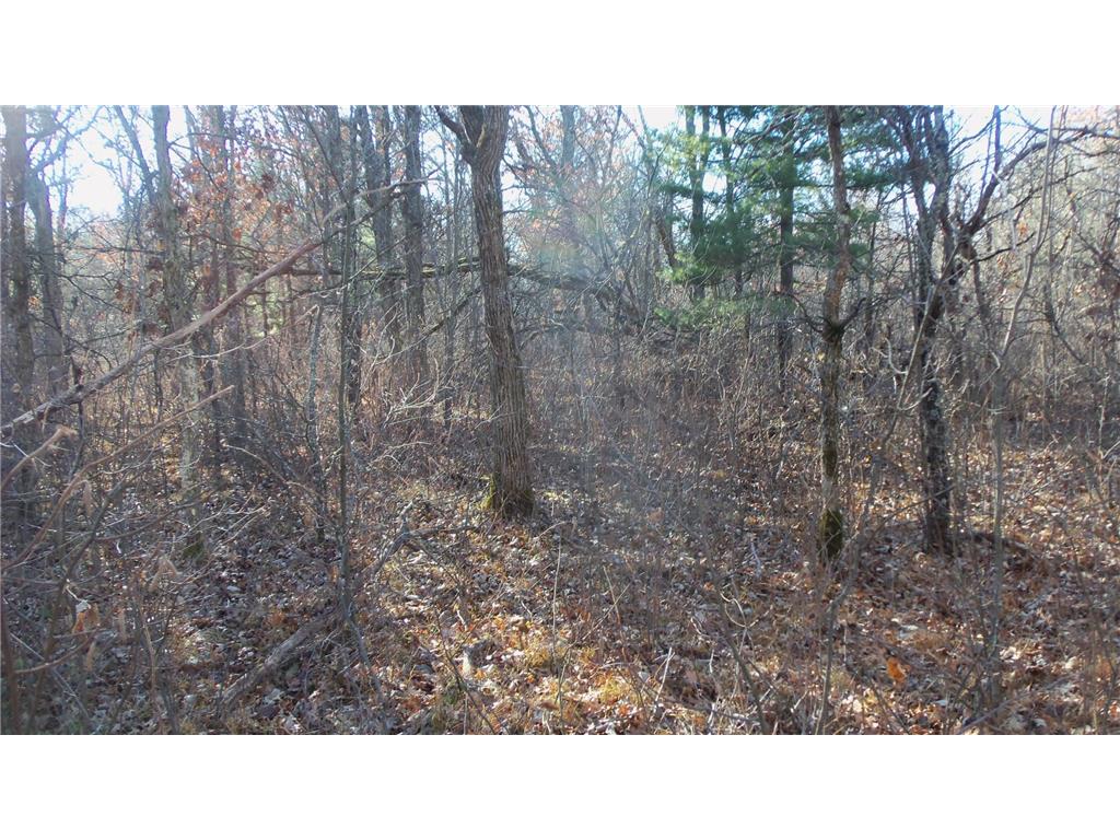 Lot 3 Ferry Rd Grantsburg Twp WI 54840 6821610 image8