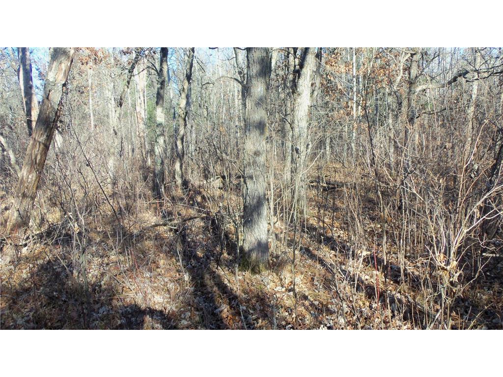 Lot 3 Ferry Rd Grantsburg Twp WI 54840 6821610 image9
