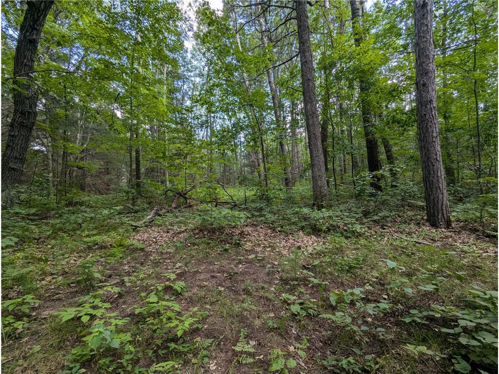 Lot 3 Fosmo Webster WI 54893 - Big Sand Lake 7041576 image1