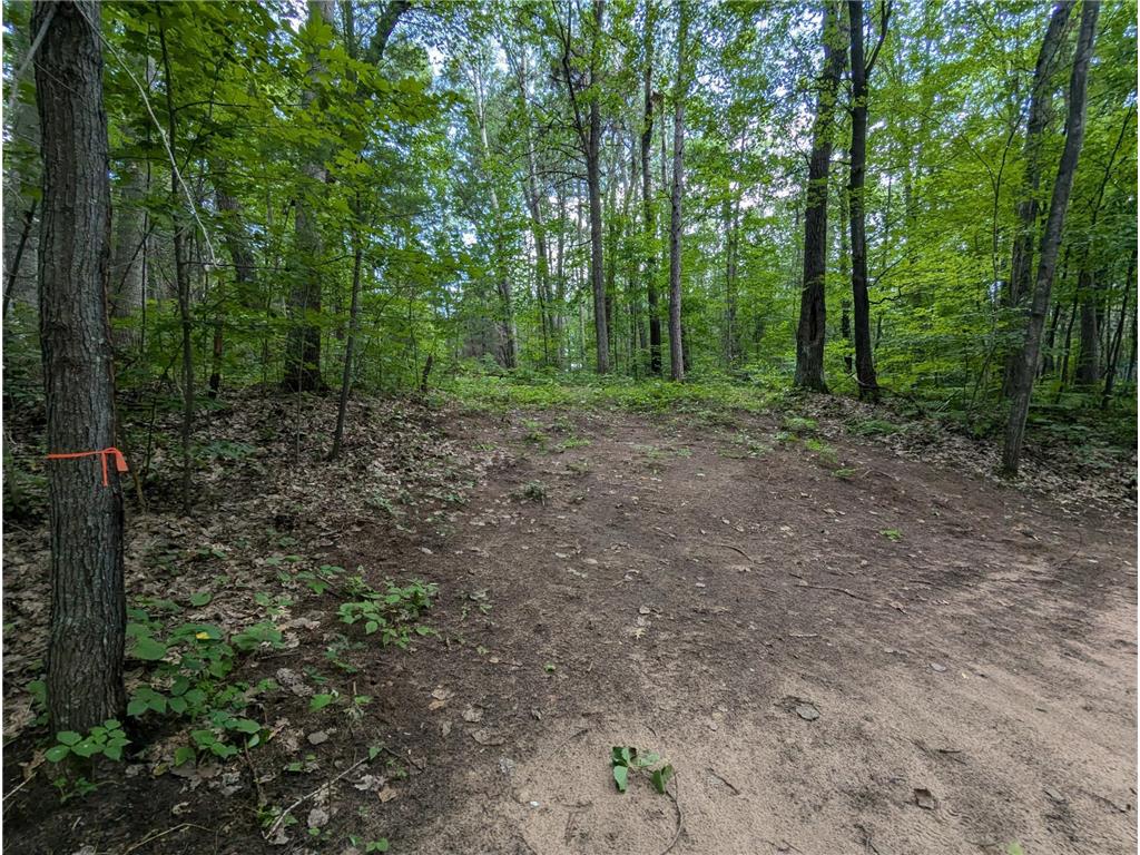 Lot 3 Fosmo Webster WI 54893 - Big Sand Lake 7041576 image2
