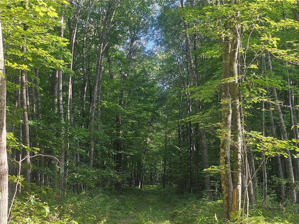 Lot 3 Ken Can Lane Jackson Twp WI 54893 6779914 image2