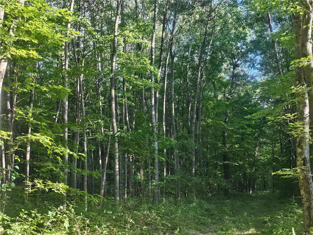 Lot 3 Ken Can Lane Jackson Twp WI 54893 6779914 image4