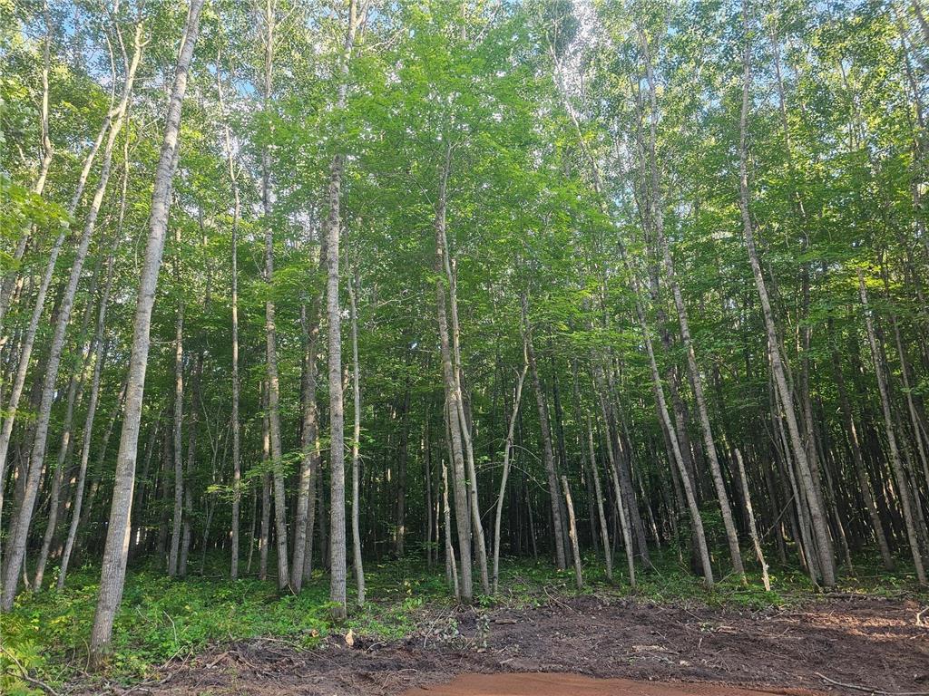 Lot 3 Ken Can Lane Jackson Twp WI 54893 6779914 image5