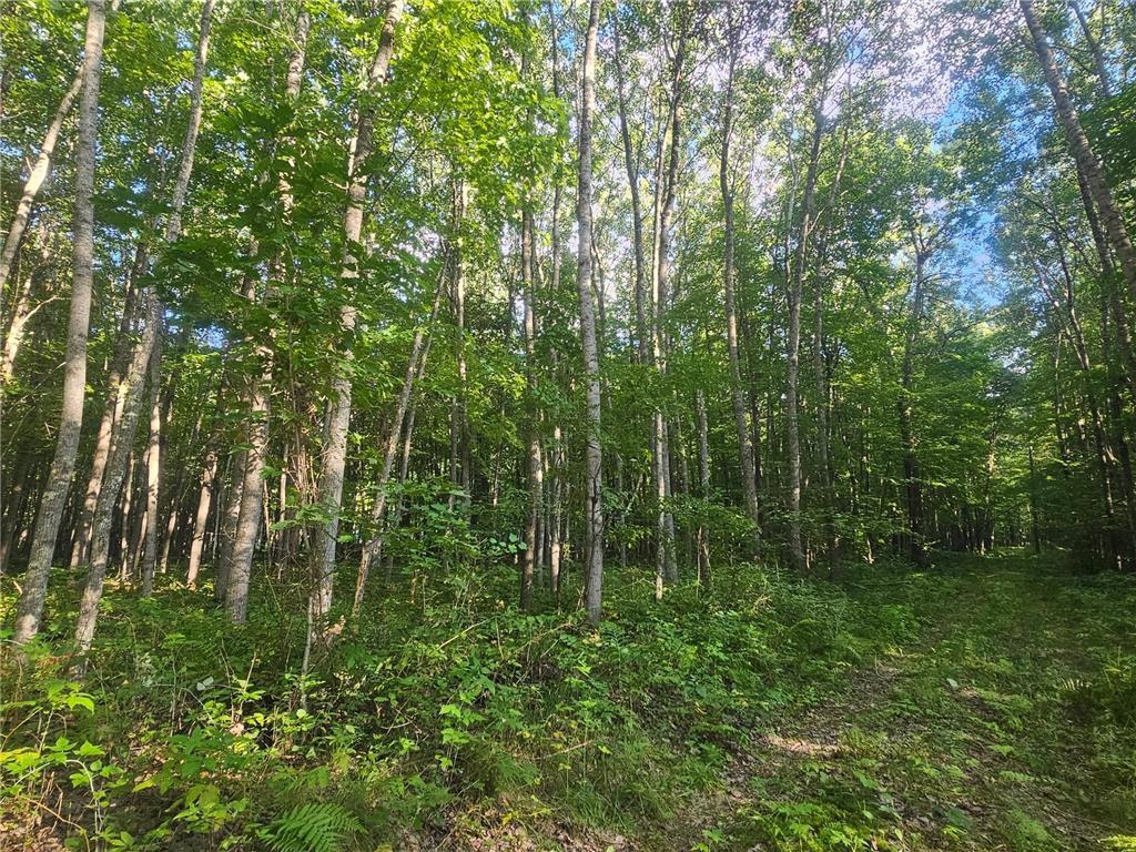 Lot 3 Ken Can Lane Jackson Twp WI 54893 6779914 image6