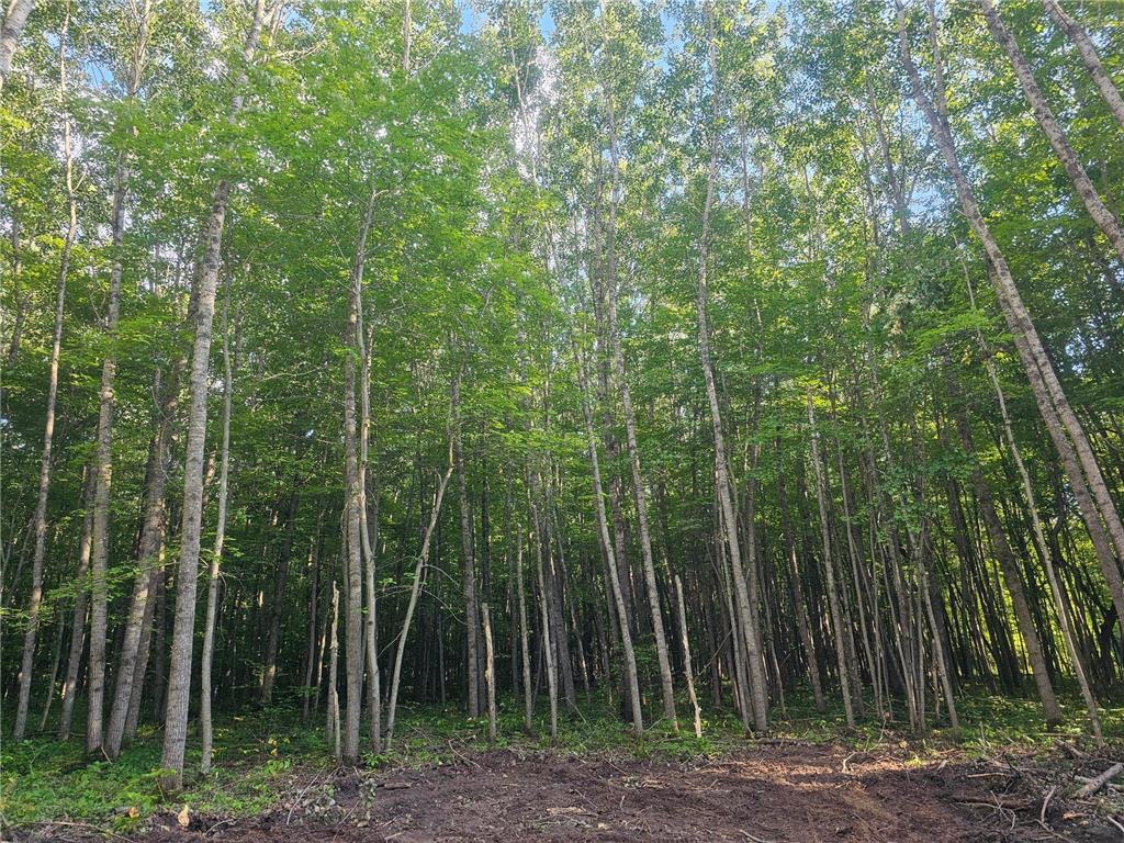 Lot 3 Ken Can Lane Jackson Twp WI 54893 6779914 image7