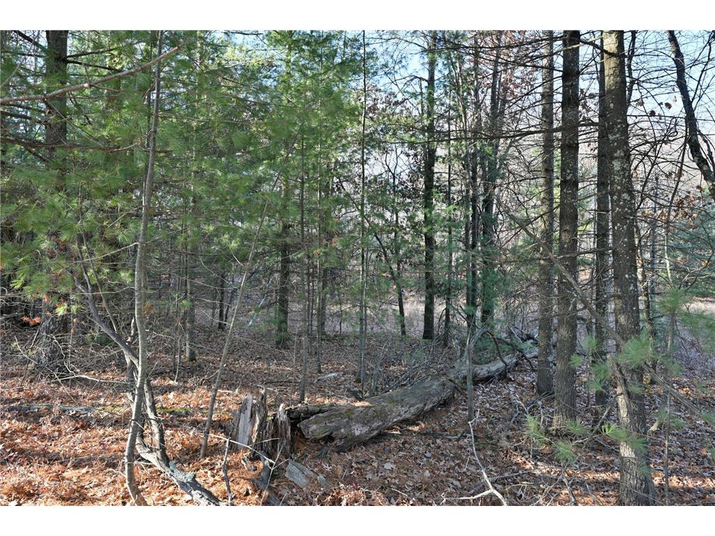 Lot 3 N Bass Lake Road Meenon Twp WI 54893 - Bass Lake 7092990 image6