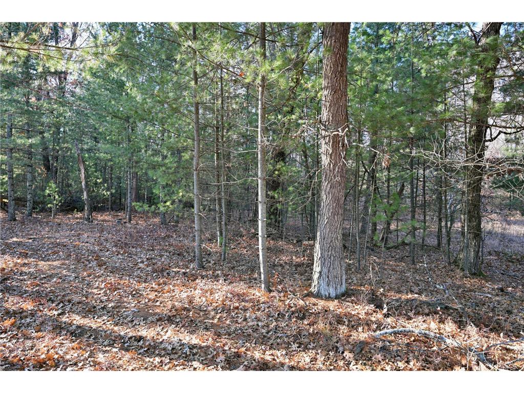 Lot 3 N Bass Lake Road Meenon Twp WI 54893 - Bass Lake 7092990 image7