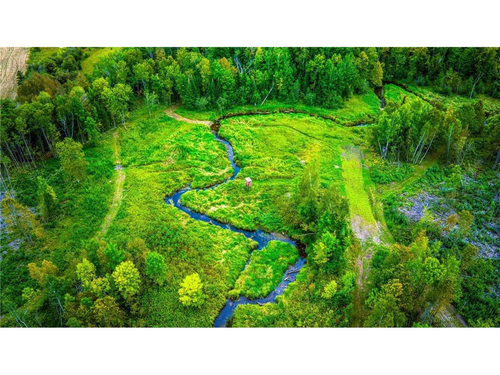 Lot 3 N Blackduck Lake Road NE Hines MN 56647 - Blackduck River 6639077 image1