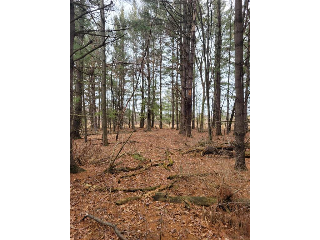 Lot 2 & 3 N2978 US Highway 12 Humbird WI 54746 6489453 image1