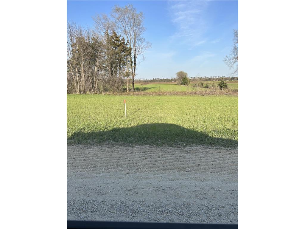 Lot 3 Orlando Avenue Ravenna Twp MN 55033 6561713 image1