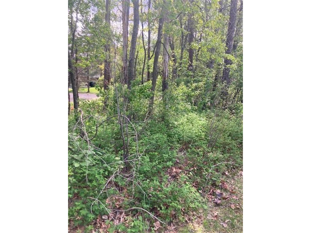 Lot 3 Pinewood Drive Breezy Point MN 56472 6539984 image1