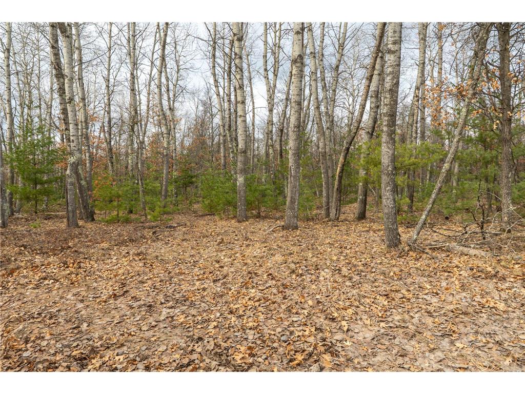 Lot 3 S Madison Avenue Wascott WI 54838 7047554 image7