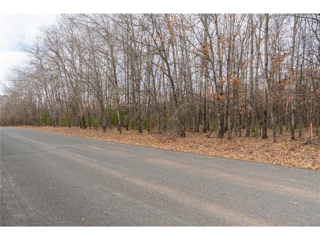 Lot 3 S Madison Avenue Wascott WI 54838 7047554 image8