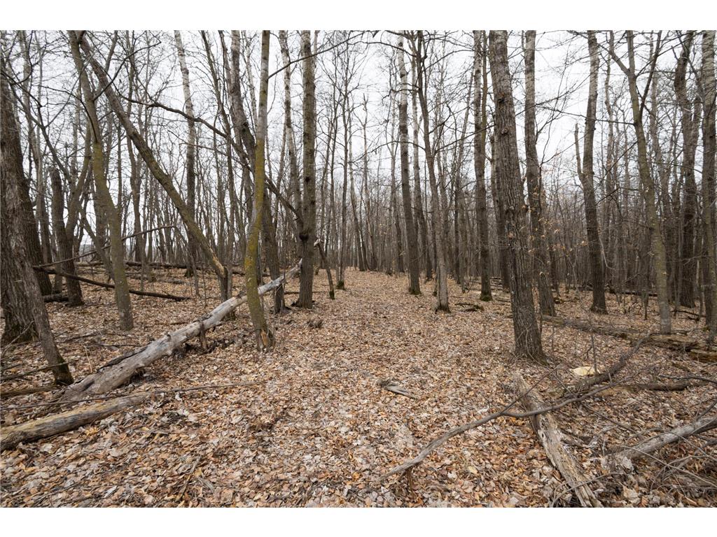 Lot 3 Saylers Beach Road Lake Park MN 56554 6521616 image3