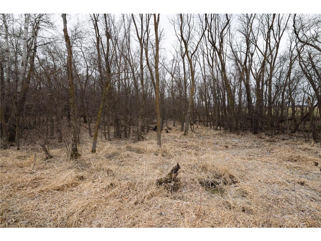 Lot 3 Saylers Beach Road Lake Park MN 56554 6521616 image4