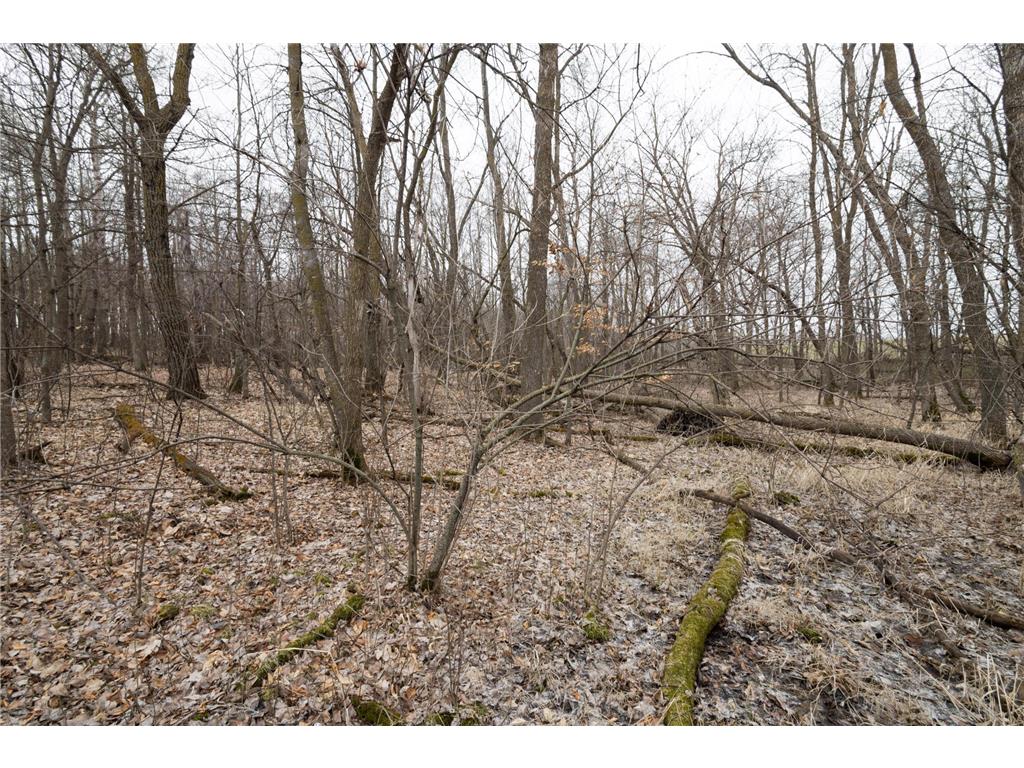 Lot 3 Saylers Beach Road Lake Park MN 56554 6521616 image5