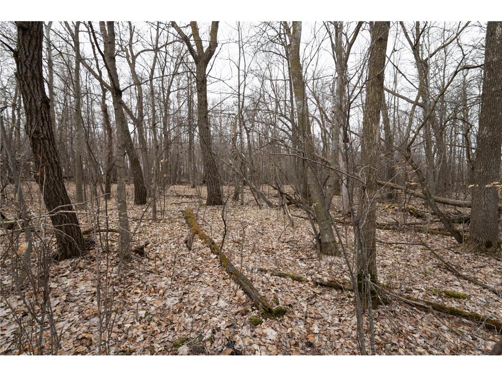 Lot 3 Saylers Beach Road Lake Park MN 56554 6521616 image6