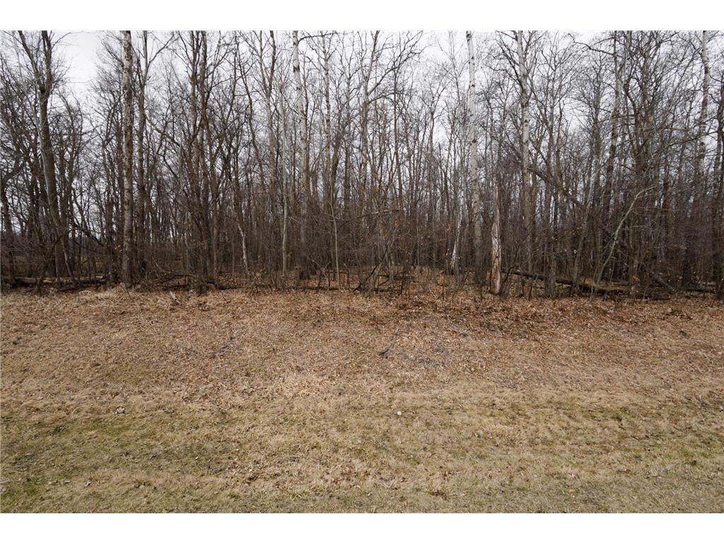 Lot 3 Saylers Beach Road Lake Park MN 56554 7052721 image2