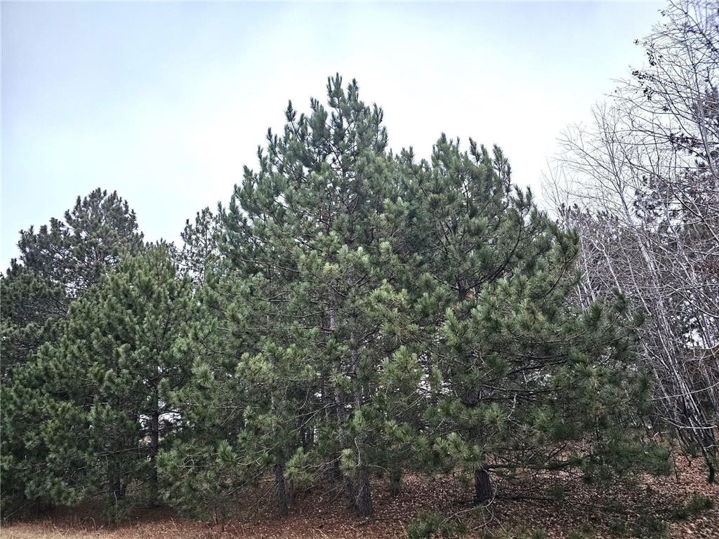 Lot 3 Meadow Green Trailway Danbury WI 54830 6465918 image1