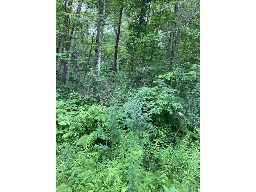 Lot 3 Summer Drive Breezy Point MN 56472 6518752 image1