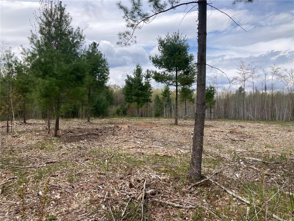 Lot 3 Surely Drive Siren Twp WI 54872 6673508 image14