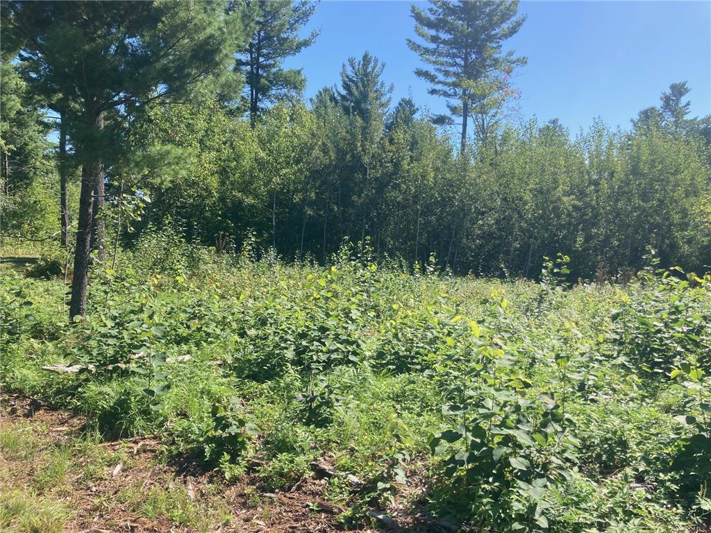 Lot 3 Surely Drive Siren Twp WI 54872 6673508 image18