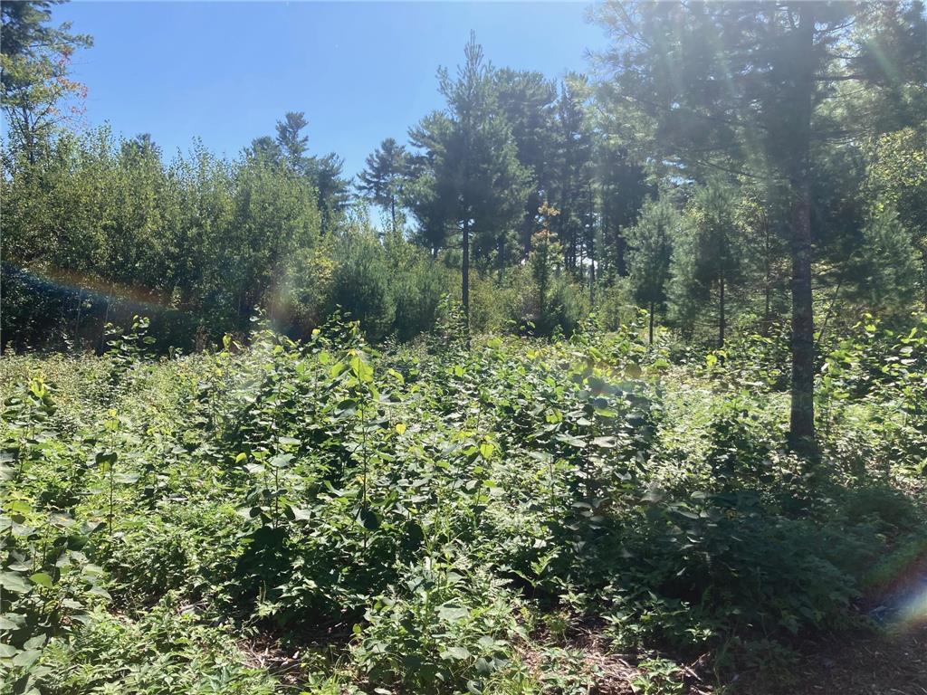 Lot 3 Surely Drive Siren Twp WI 54872 6673508 image19