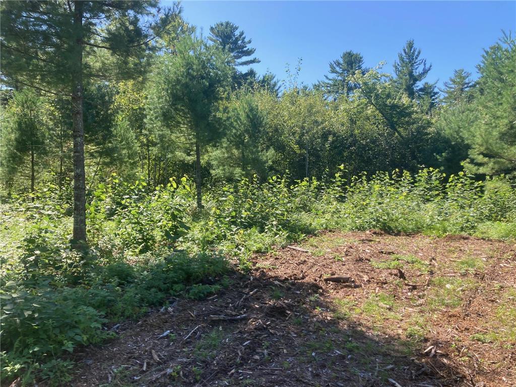 Lot 3 Surely Drive Siren Twp WI 54872 6673508 image20