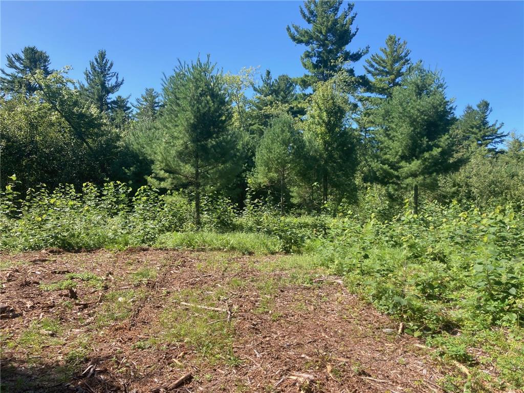 Lot 3 Surely Drive Siren Twp WI 54872 6673508 image21