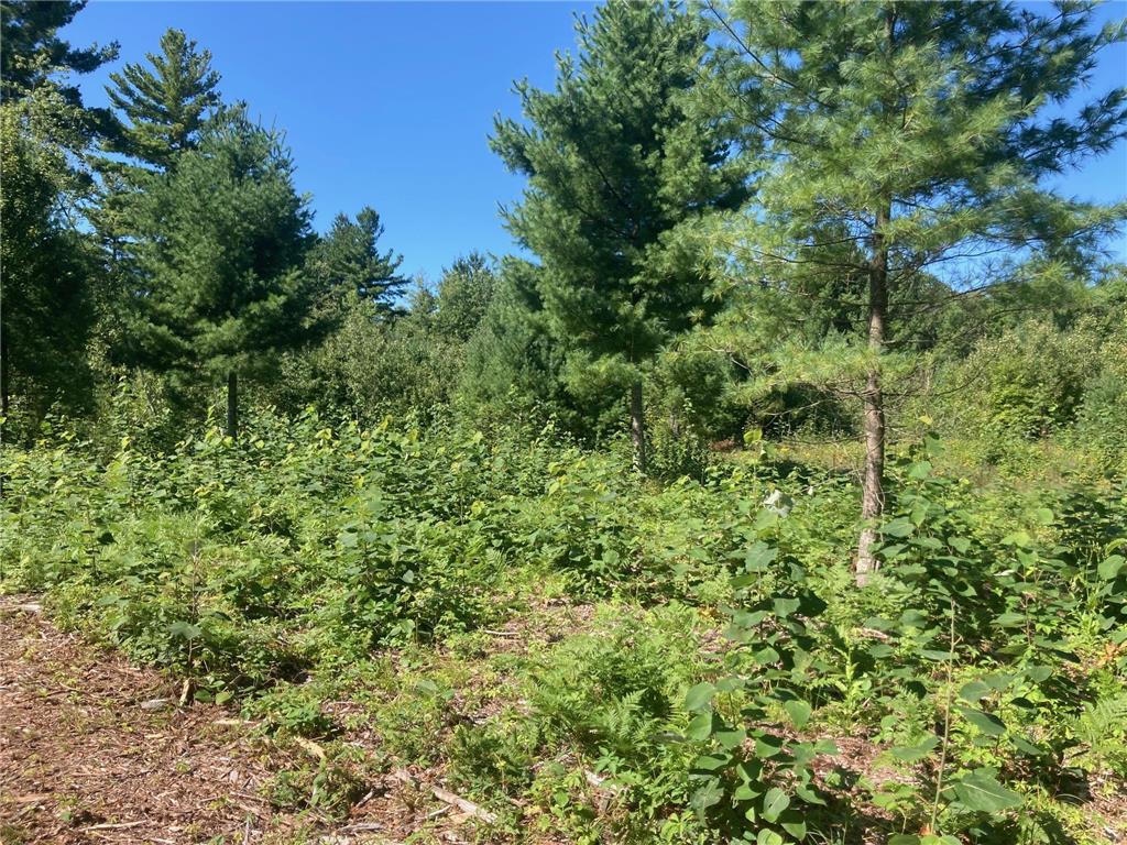 Lot 3 Surely Drive Siren Twp WI 54872 6673508 image22