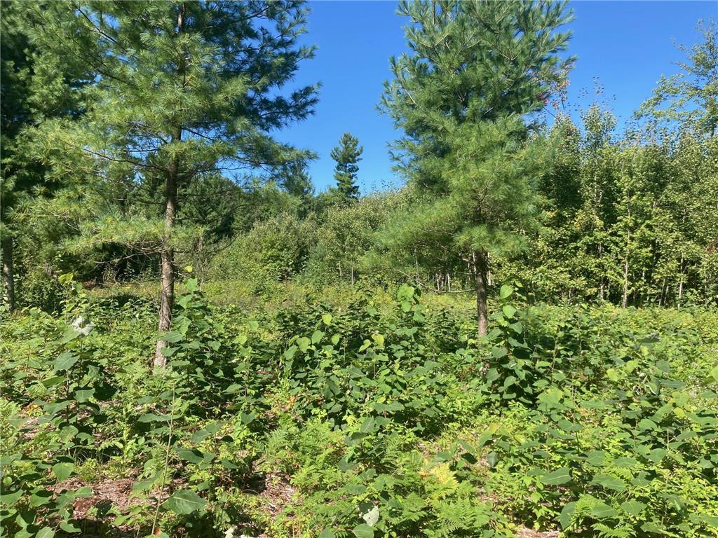 Lot 3 Surely Drive Siren Twp WI 54872 6673508 image23