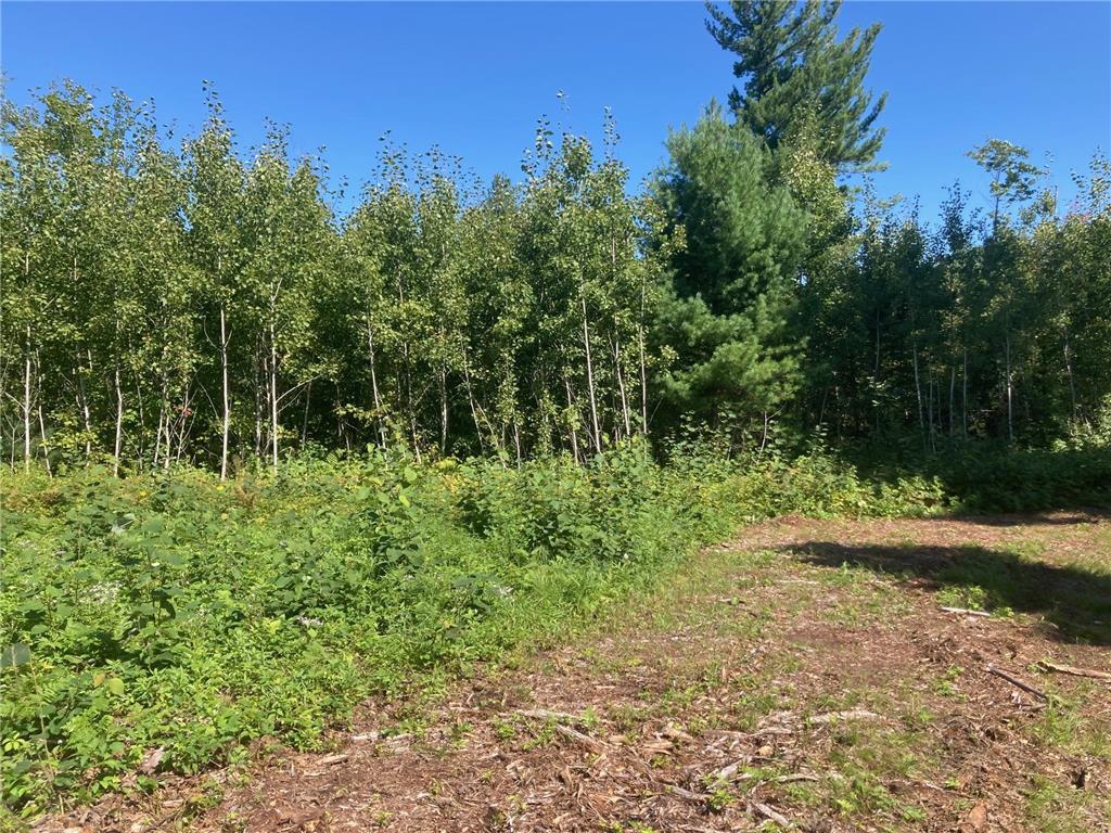 Lot 3 Surely Drive Siren Twp WI 54872 6673508 image25