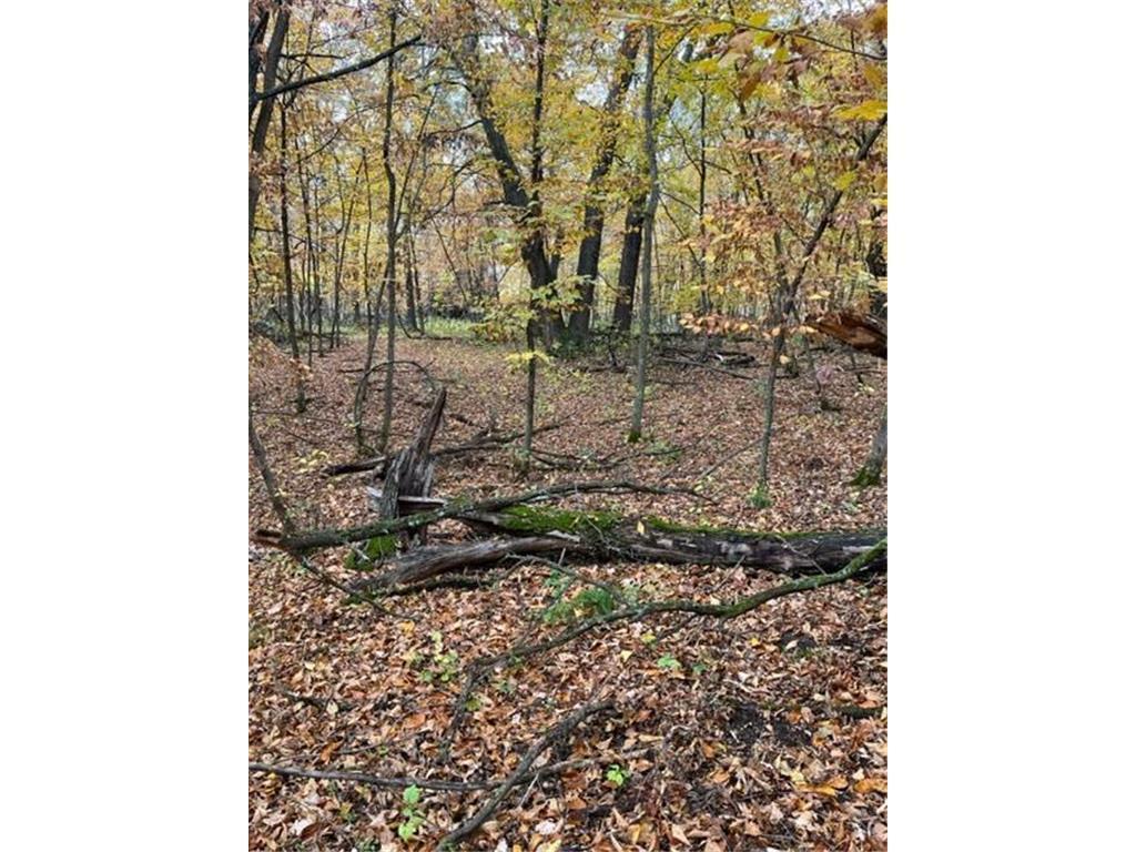 Lot 3 Tiger Street NW Zimmerman MN 55398 - Blue 7016932 image15