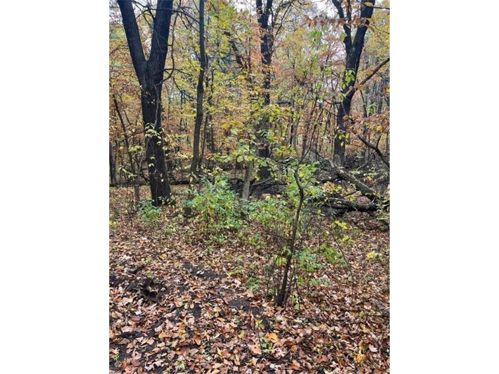 Lot 3 Tiger Street NW Zimmerman MN 55398 - Blue 7016932 image17