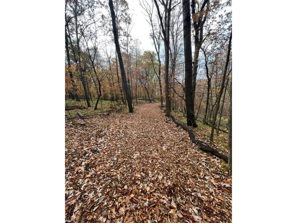 Lot 3 Tiger Street NW Zimmerman MN 55398 - Blue 7016932 image19