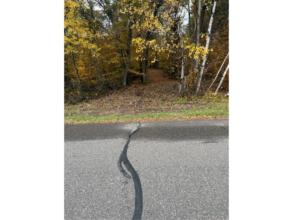 Lot 3 Tiger Street NW Zimmerman MN 55398 - Blue 7016932 image2