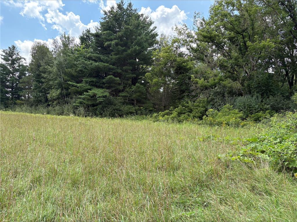 Lot 3 and 4 28 1/16th Avenue/Gatehead Road Cedar Lake Twp WI 54817 6777162 image1
