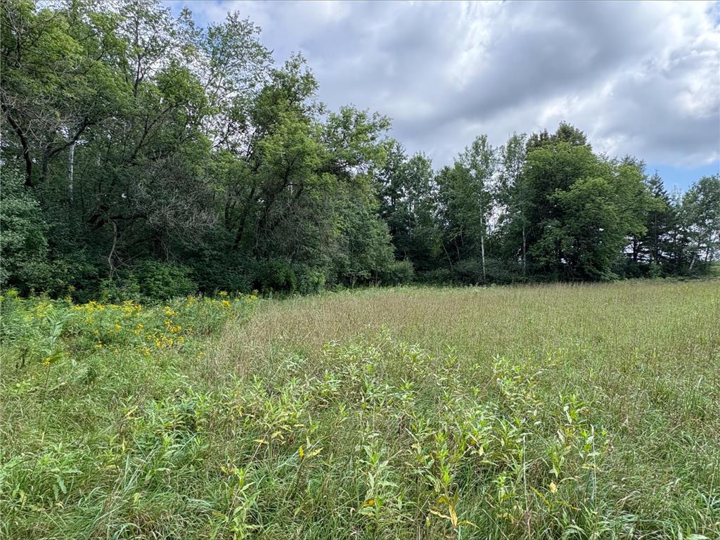 Lot 3 and 4 28 1/16th Avenue/Gatehead Road Cedar Lake Twp WI 54817 6777162 image2